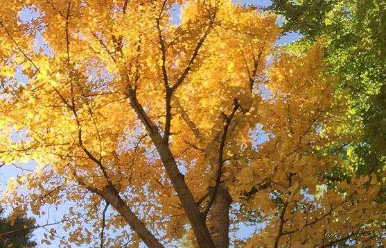 北京公司注冊租金和其他城市有什么差異？