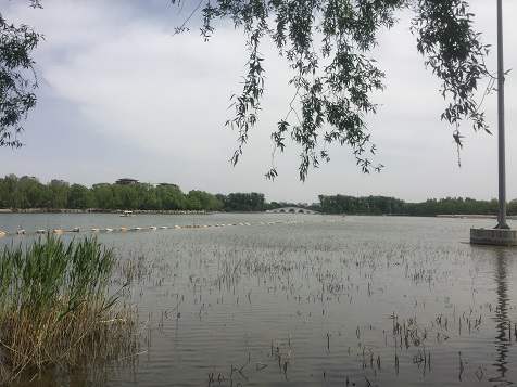 公司注冊鎮(zhèn)海需要哪些材料,公司注冊鎮(zhèn)海流程詳解