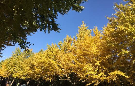 北京密云公司注冊的流程及費(fèi)用是什么？