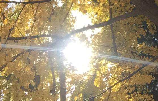 北京有哪些代辦公司注冊電話方便快捷？