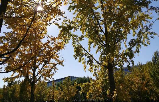 北京企業(yè)公司注冊的報價如何比較合理？有哪些費用需要考慮？