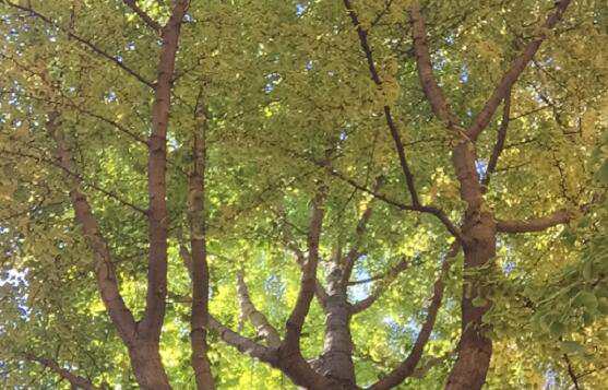 北京東城公司注冊資金增資要注意哪些問題？如何避免風險？